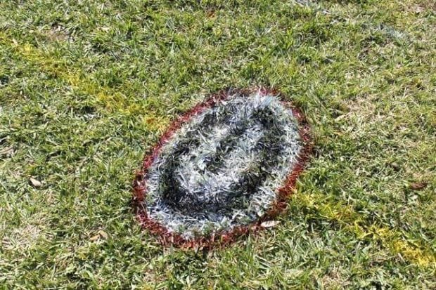 During DIY backyard football, create team spirit by spray painting the teams' logos on the grass.