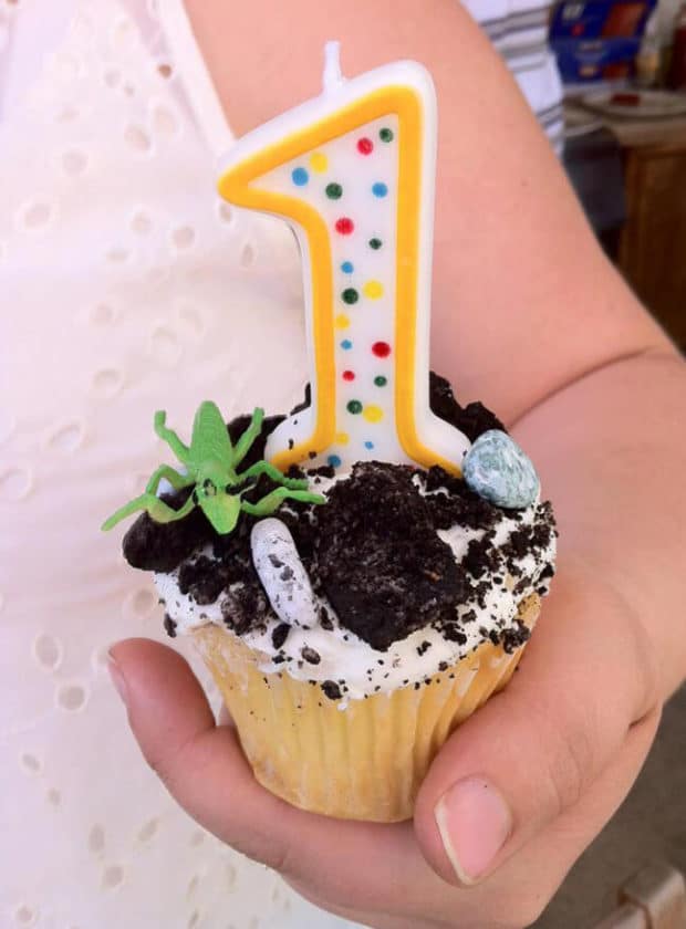 Insect Themed Birthday Party 