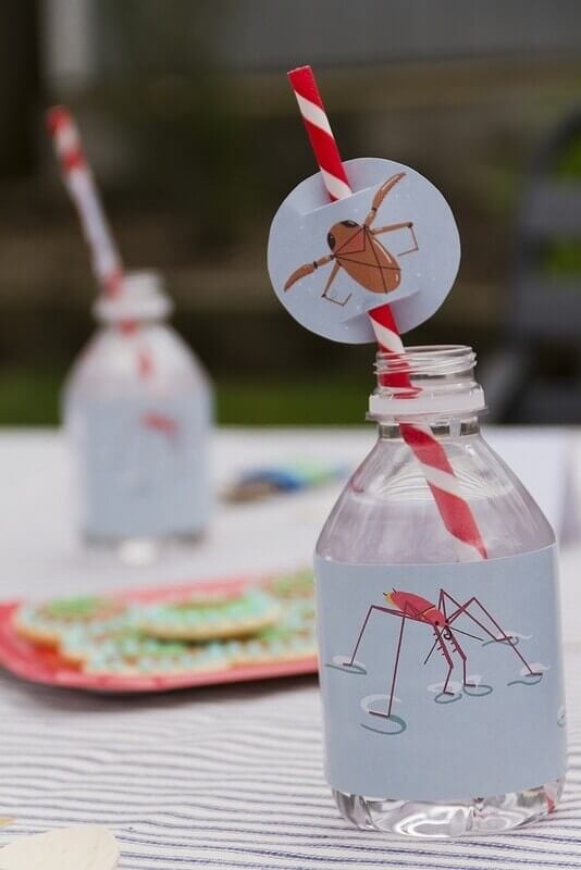 20 Bug Themed Birthday Party Ideas | Spaceships and Laser Beams
