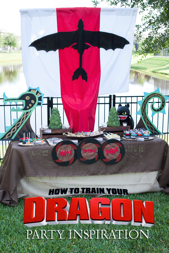 How to Train Your Dragon Movie-Inspired Boy s Birthday Party
