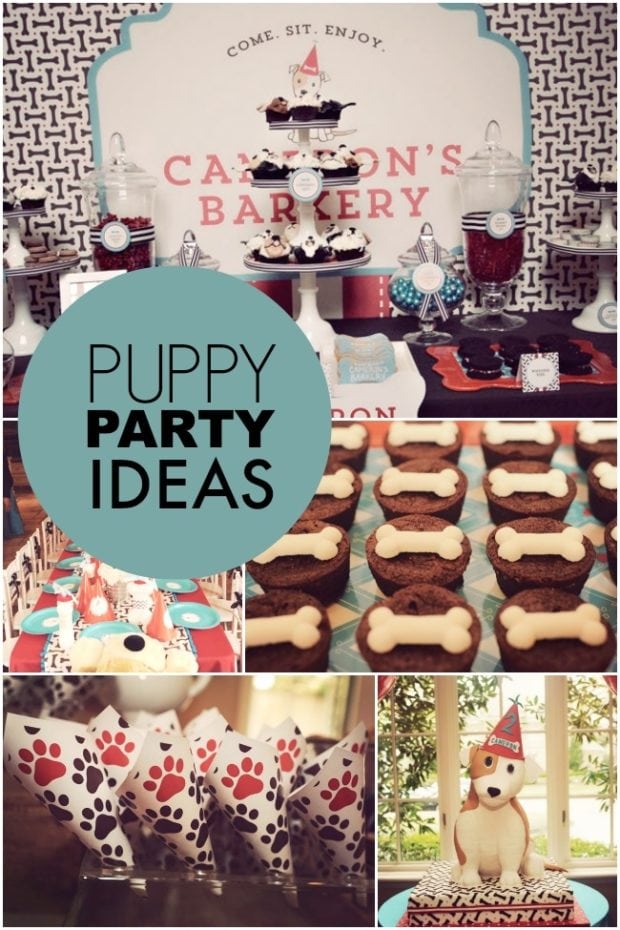 A Dog-gone Cute Puppy Paw-ty (Boy Birthday Party) | Spaceships and