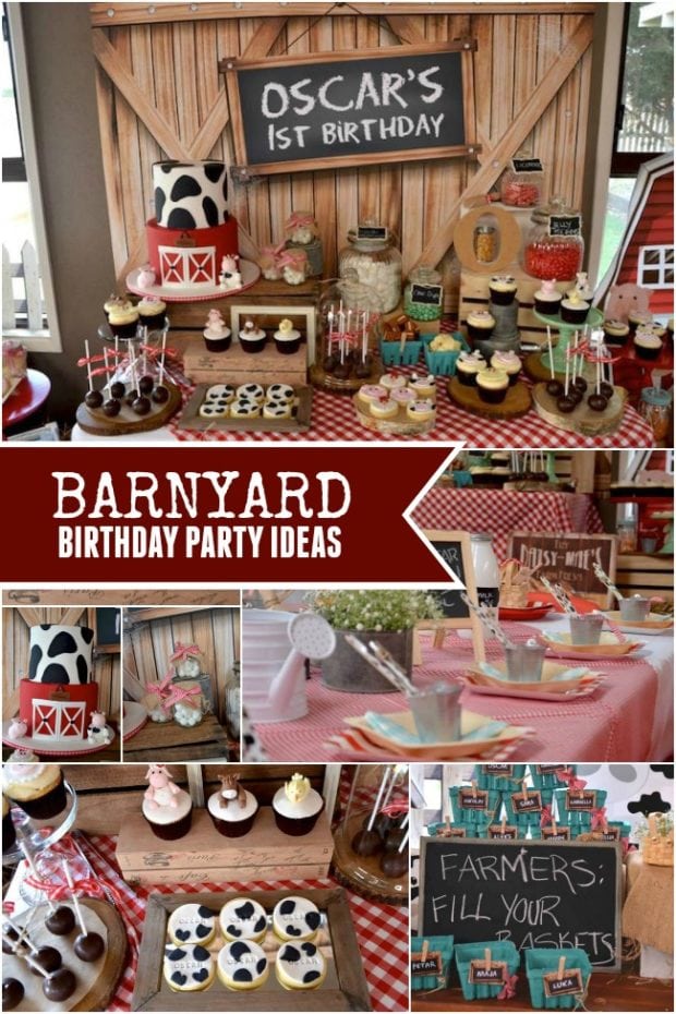 Down on the Farm: A Boy s Rustic Barnyard 1st Birthday Party