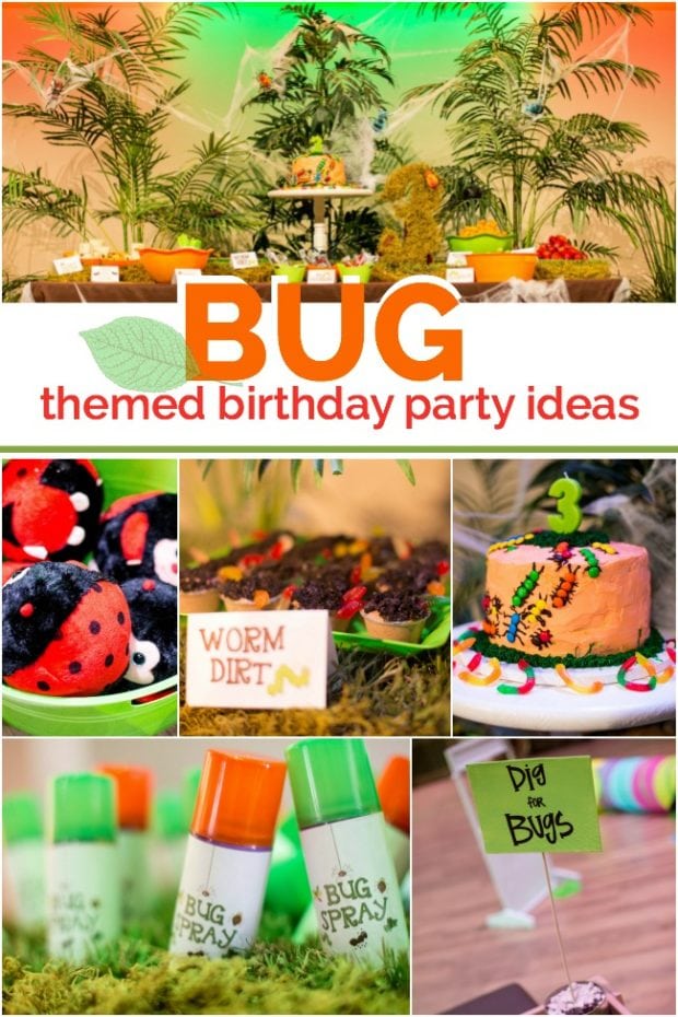 Bug Themed Birthday Party Ideas