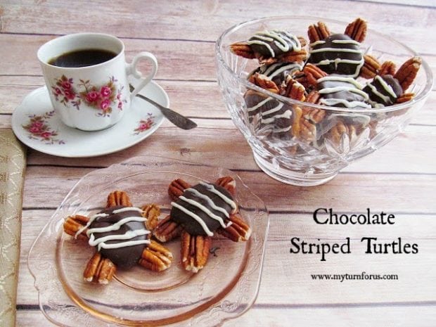 6 Chocolate Striped Turtles