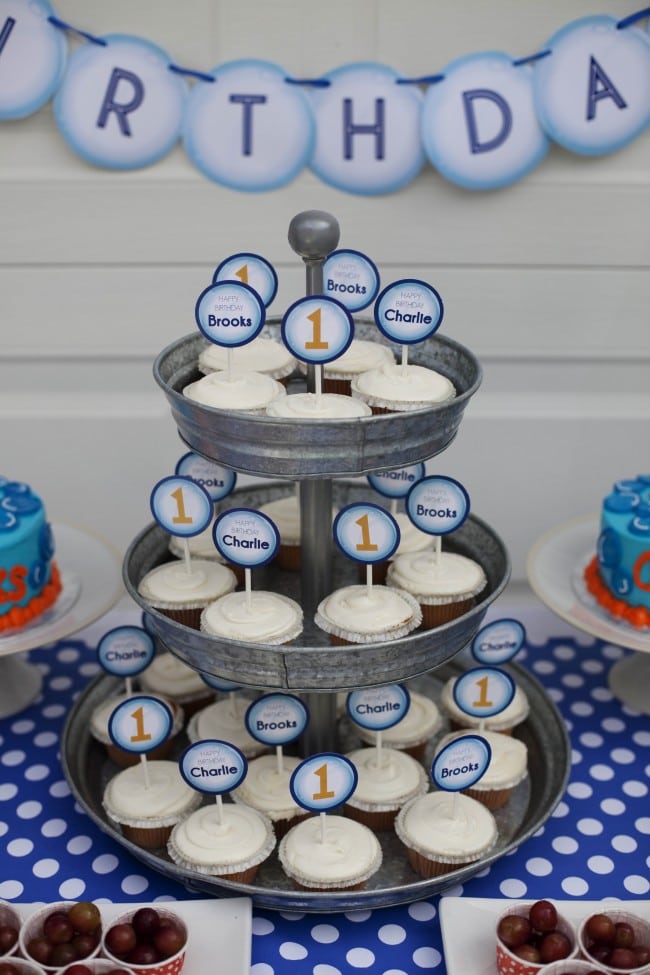 Boys Bubble Themed Birthday Party Cupcake Ideas