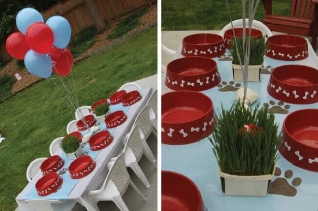 Dog Food Dish Place Settings for a PAW Patrol-themed birthday.