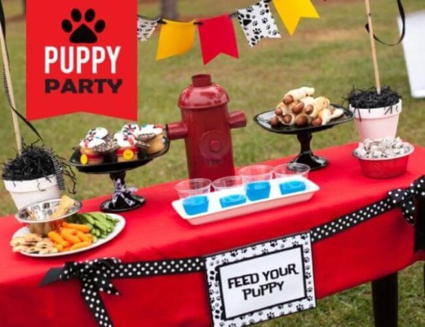 Puppy Party Playdate on a Budget for a PAW Patrol-themed party.
