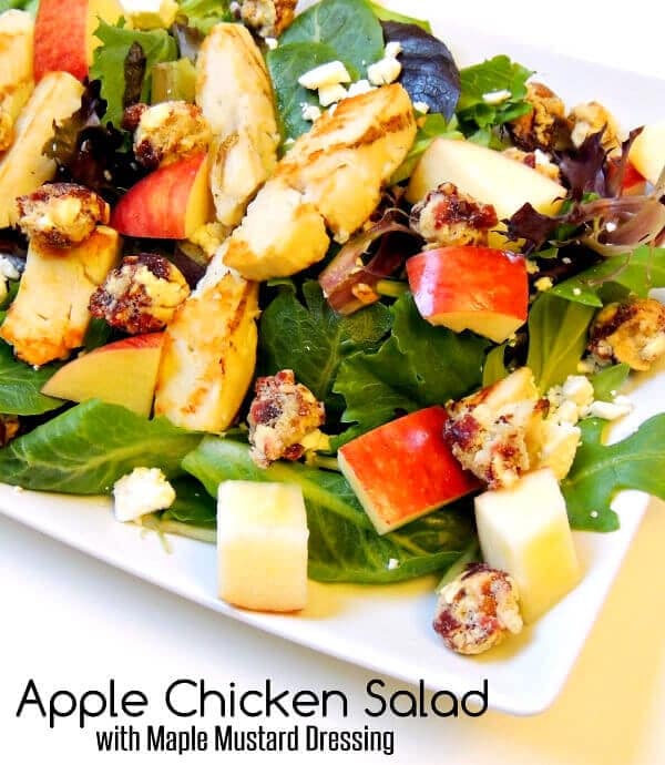 Apple Chicken salad with Craisins Clusters