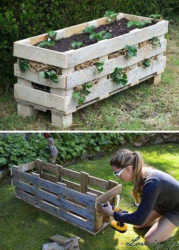 DIY Wooden Pallet Strawberry Planter