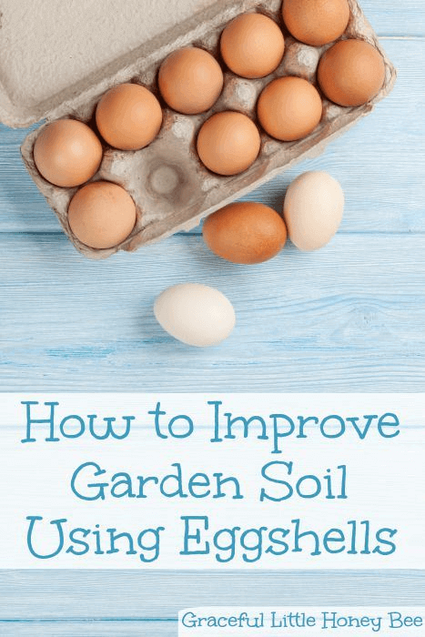 Don't waste your egg shells! Use them to get calcium rich soil. 