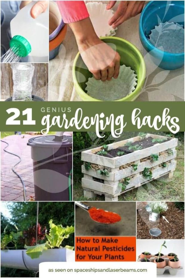 21 Genius gardening hacks from Spaceships and Laser Beams.