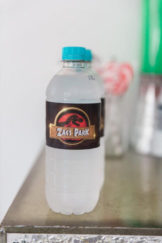 Jurassic Park Themed Water Bottle