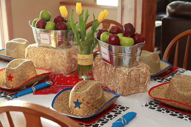 Boys birthday party barnyard themed table decoration ideas