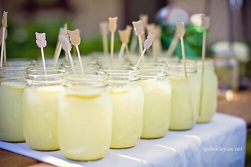Vintage Owl Themed Baby Shower Party Drink Ideas
