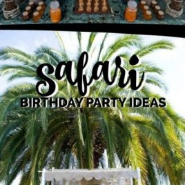 Safari Birthday Party