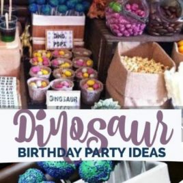 Dinosaur Birthday Party ideas