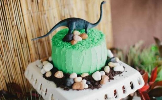 Dinosaur Birthday Party Ideas, Photo 4 of 11