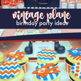 Vintage Plane Birthday Party