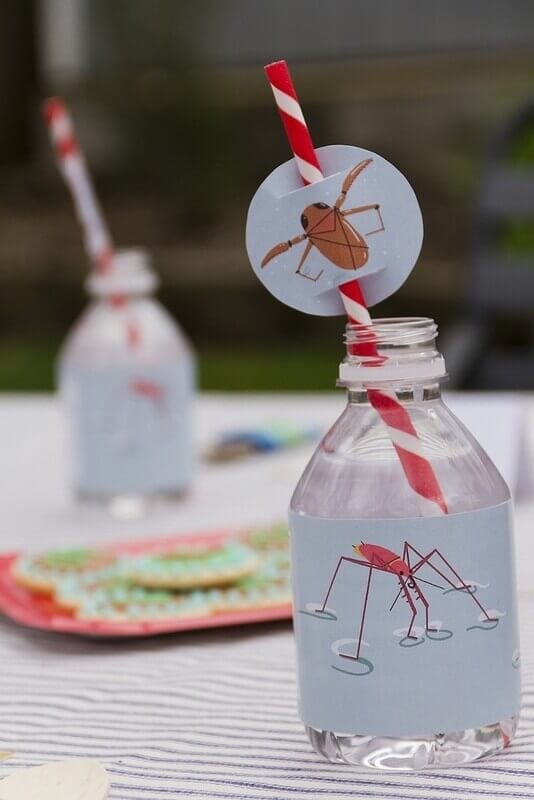 Boy's Bug Bash Birthday Party Decoration Ideas