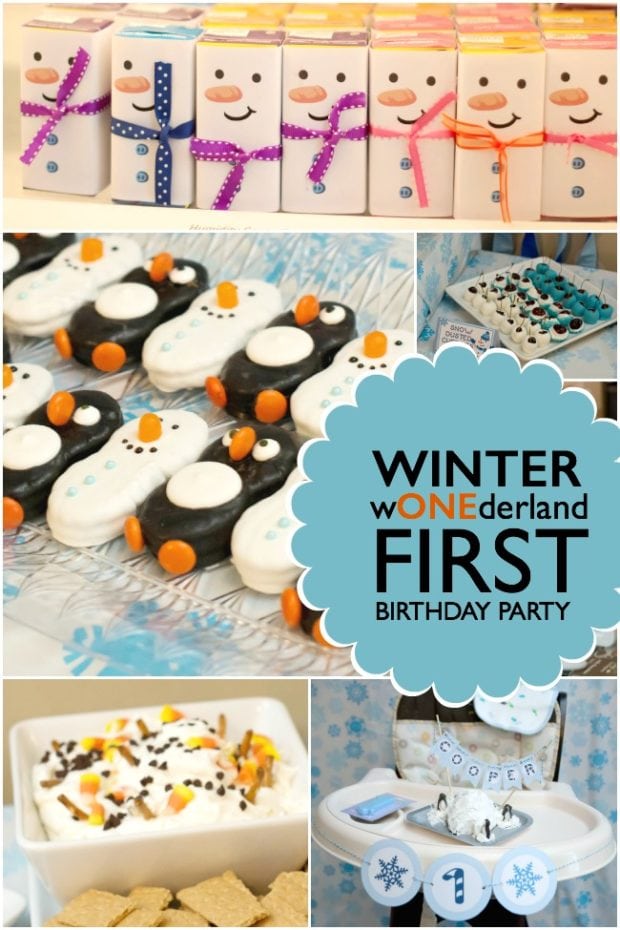 Ideas For 1st Birthday In Winter