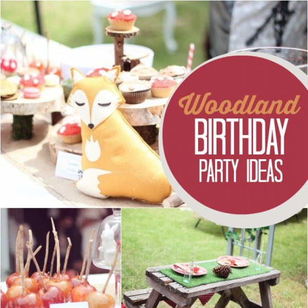 Woodland Themed Boy’s First Birthday Party | Spaceships and Laser Beams