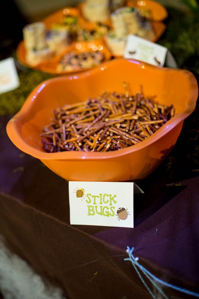 Bug Themed Boys Birthday Party Food Ideas