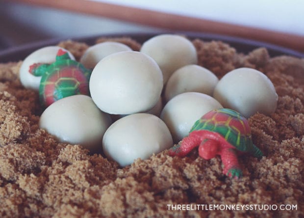 Boys reptiles-amphibians-birthday-party-cake balls