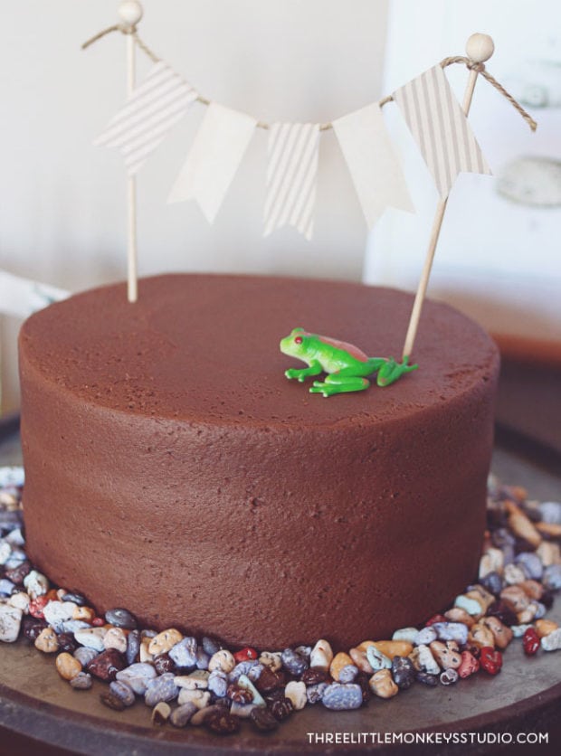 Boys reptiles-amphibians-birthday-party-cake ideas