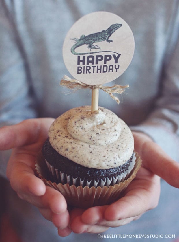 Boys reptiles-amphibians-birthday-party-cupcake ideas