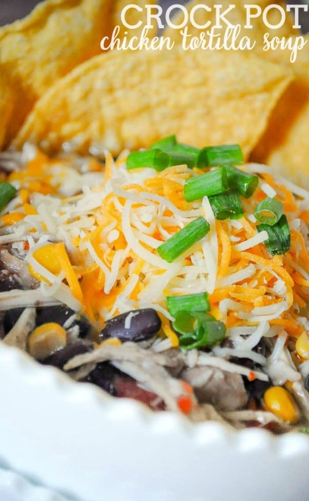 Crock Pot Chicken Tortilla Soup