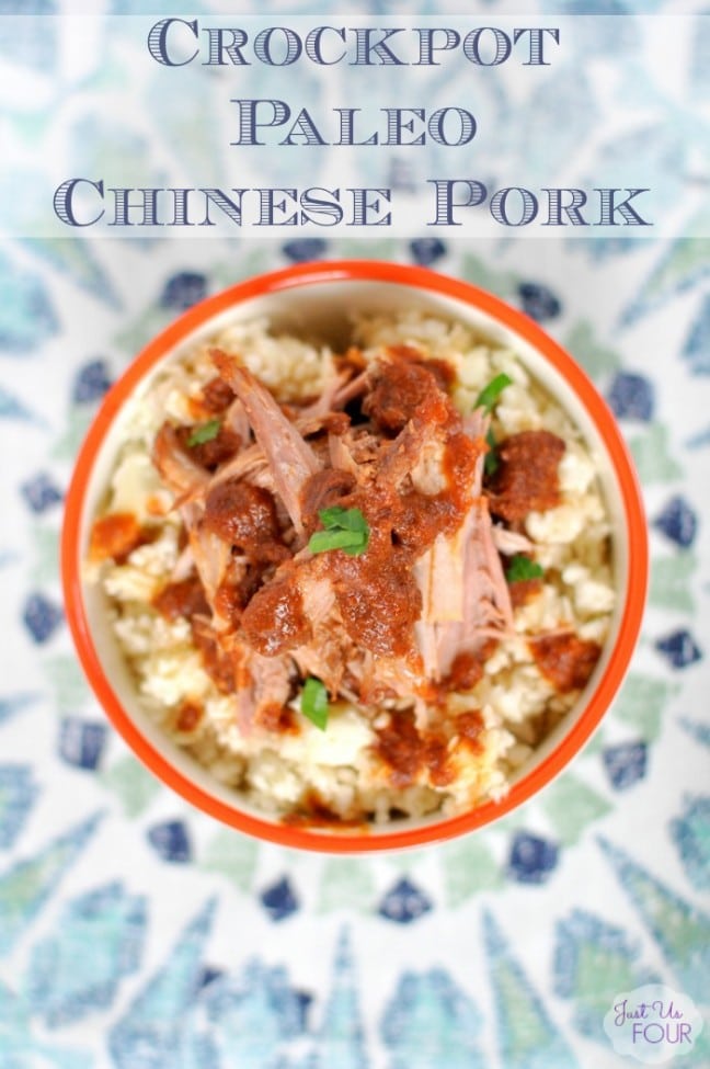Crockpot Paleo Chinese Pork