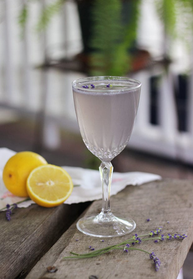 Lemon Lavendar Mocktail