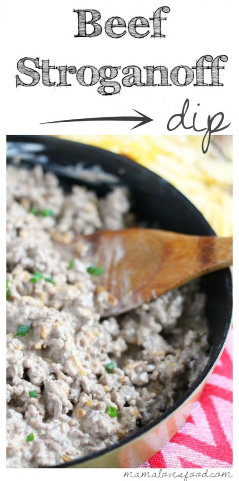 Beef Stroganoff Party Dip