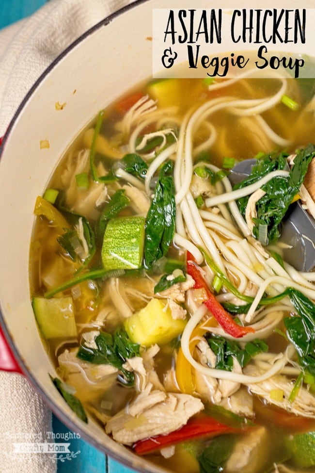 Asian Chicken and Veggie Soup