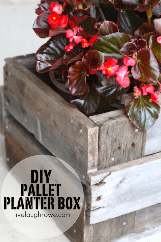 Make your own pallet planter box - you'll be surprised at how easy it is.