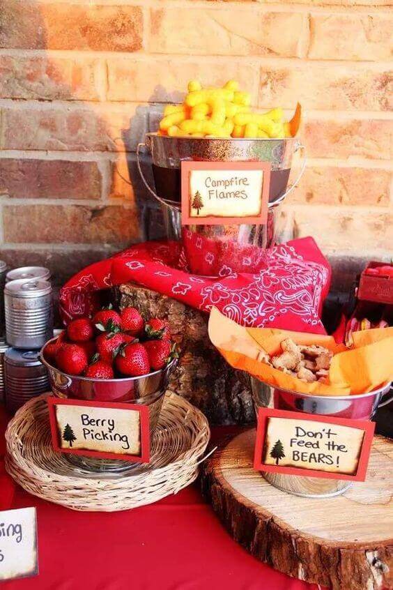 Camping Themed Party Ideas