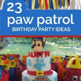 pinterest-paw-patrol-birthday-party-ideas