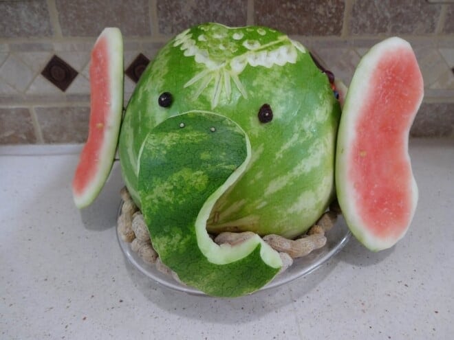 Watermelon Elephant