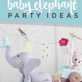 15 Baby Elephant Party Ideas
