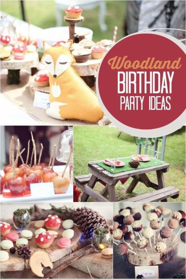 Woodland Themed Boy’s First Birthday Party