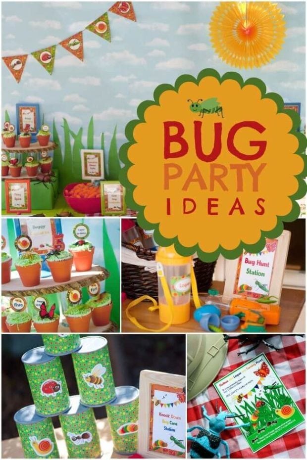 A Colorful Boy’s Bug Birthday Party