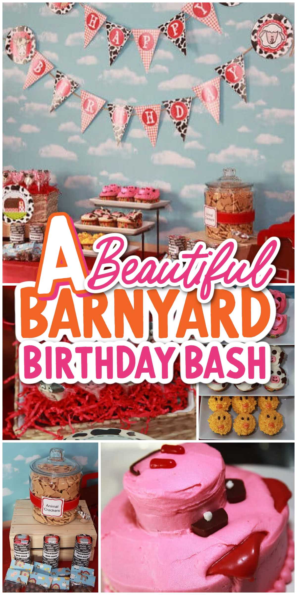 A Beautiful Barnyard Birthday Bash - Spaceships and Laser Beams