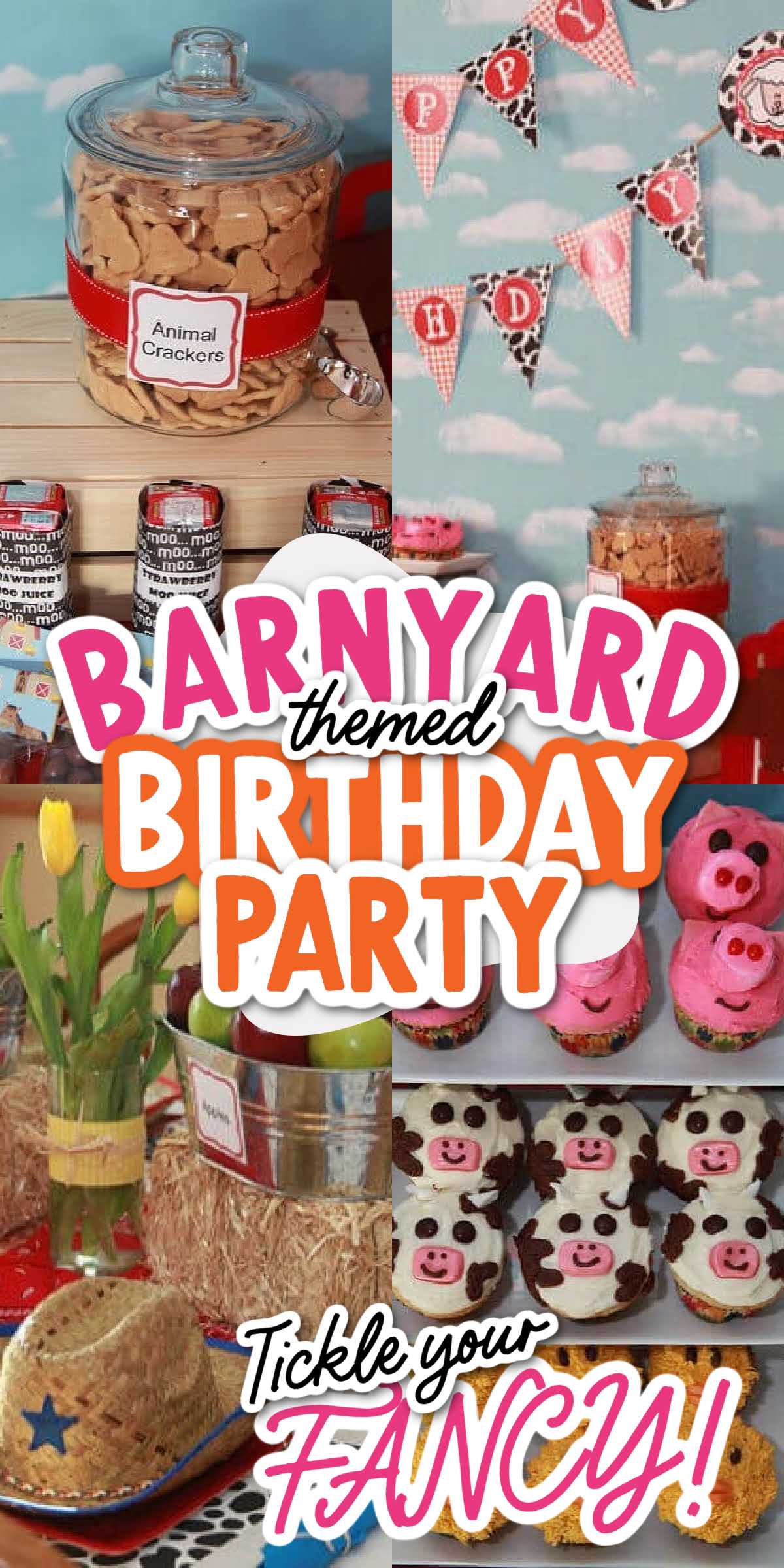 A Beautiful Barnyard Birthday Bash - Spaceships And Laser Beams