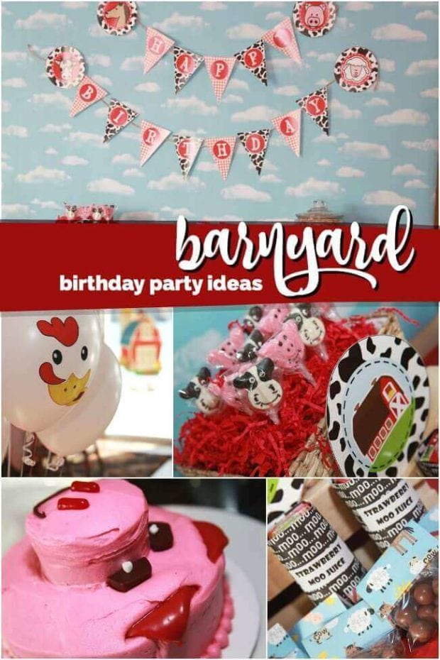 Boy's Farm Themed Birthday Party Ideas