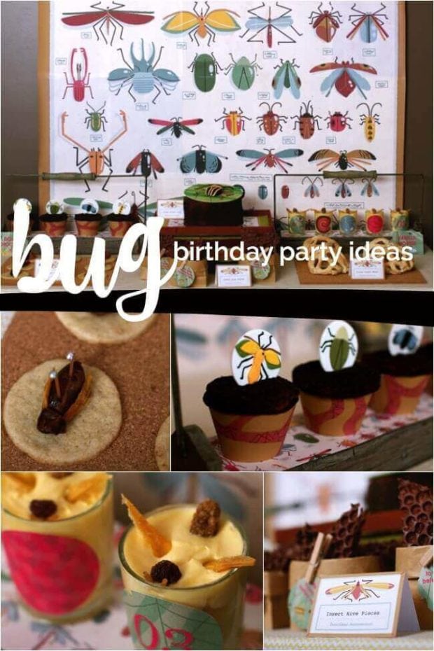 Bug Themed Birthday Party Ideas