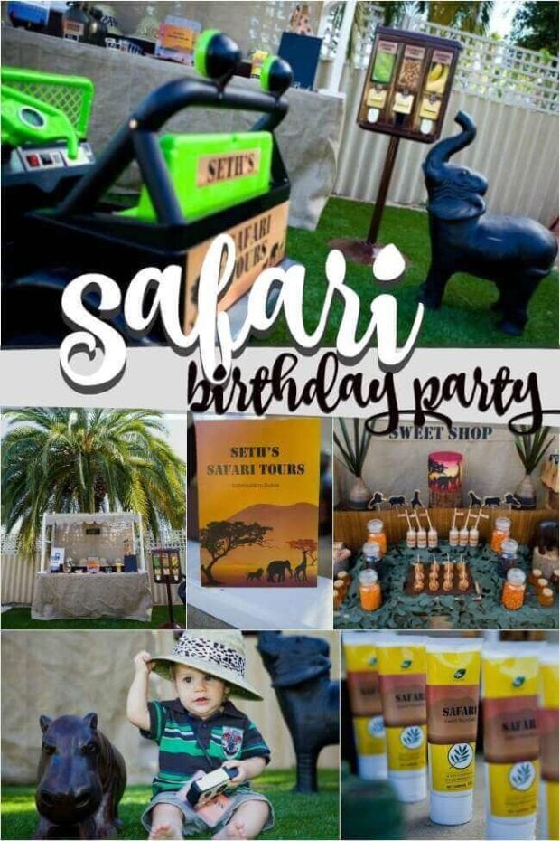 Safari Birthday Party Ideas