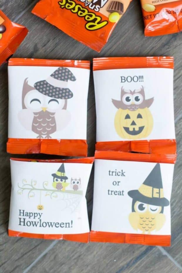 Owl Themed Halloween Candy Ideas + Free Printable - Spaceships and ...