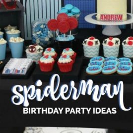 Spiderman Themed Birthday Party
