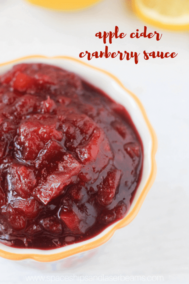 Homemade Apple Cider Cranberry Sauce - Spaceships and Laser Beams