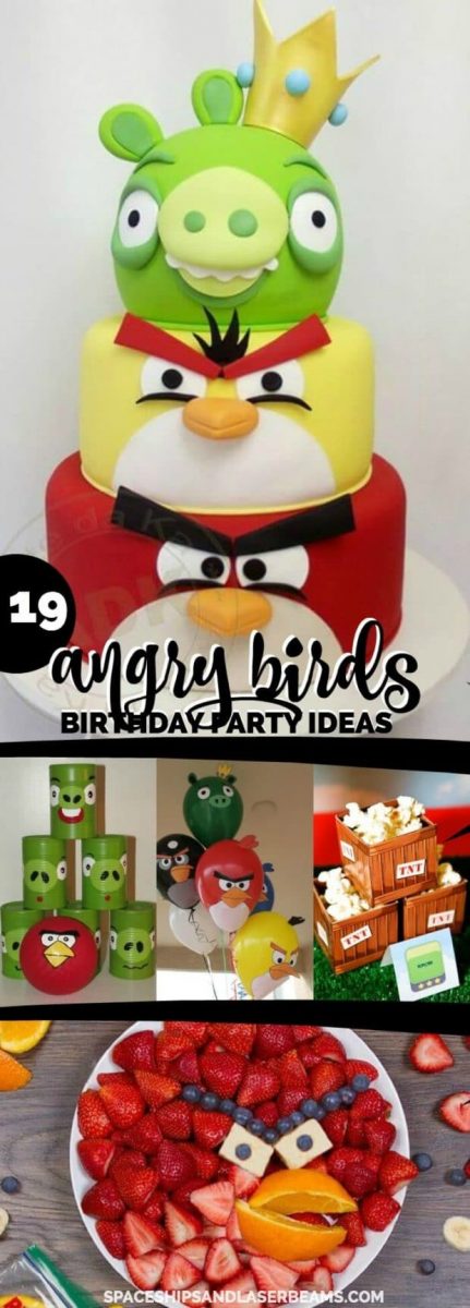 19 Angry Birds Party Ideas - Spaceships and Laser Beams